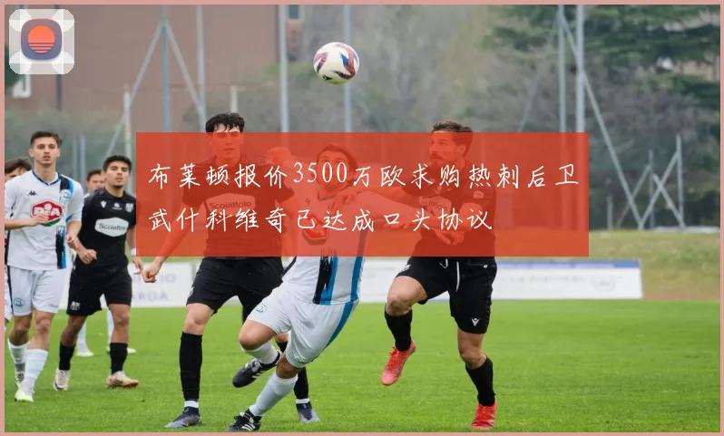布莱顿报价3500万欧求购热刺后卫武什科维奇已达成口头协议