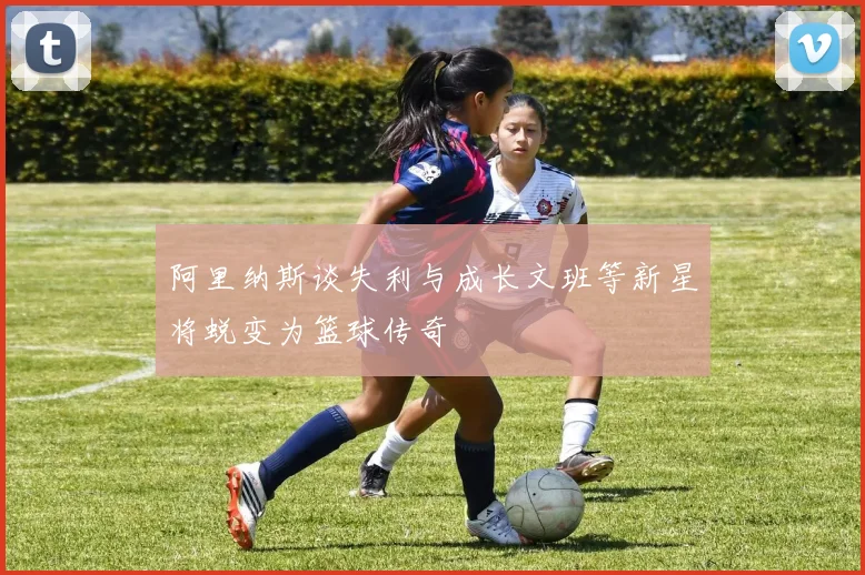 阿里纳斯谈失利与成长文班等新星将蜕变为篮球传奇