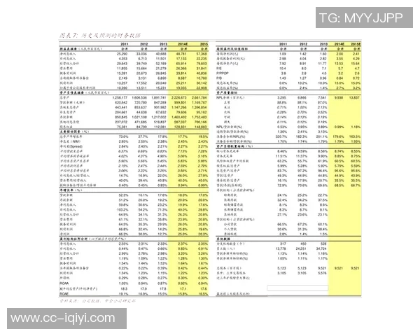 关于2017年历史问题处罚的公告及其影响分析与后续措施探讨